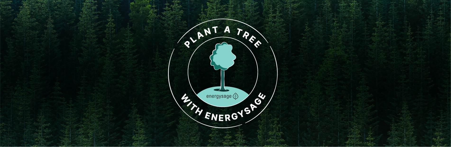 Plant a Tree With EnergySage